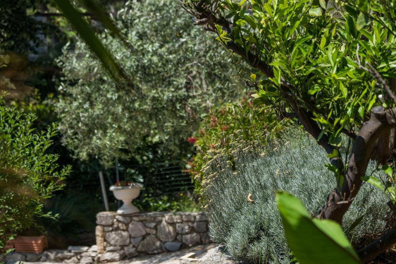 Villa Magnolia Mali Losinj Ngoại thất bức ảnh