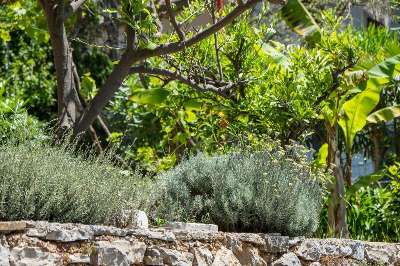 Villa Magnolia Mali Losinj Ngoại thất bức ảnh